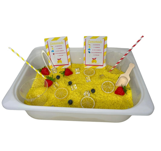 Lemonade Kit
