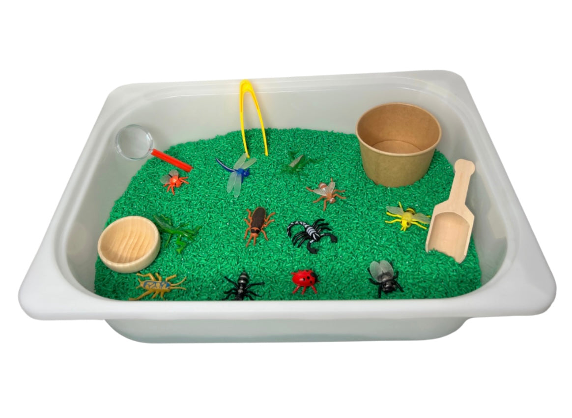 Bug Exploration Kit