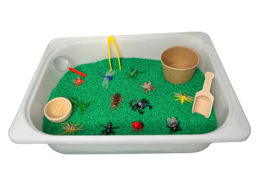 Bug Exploration Kit